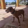 PILI (Maria)