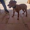 PILI (Maria)