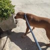 PILI (Maria)