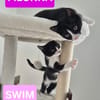 SWIM ET FILONNA