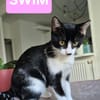 SWIM ET FILONNA