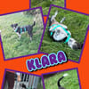 aufgeschlossene liebe Klara auf PS in 91217