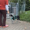 aufgeschlossene liebe Klara auf PS in 91217