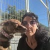 Brownie, ein Herzenshund der neu anfangen möchte