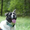 LYLIE BELLE CHAO