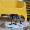 Jimmy, je suis très câlin