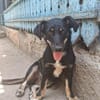 Zahara, sucht Liebe