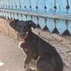 Zahara, sucht Liebe