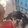 Zahara, sucht Liebe