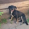 Zahara, sucht Liebe