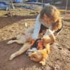 Aiko, elegant, liebt Wasser, ruhiges Wesen