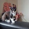 Droppie