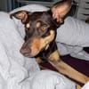 Rosa  eine liebevolle Seele sucht ihr Für-immer-Zuhause