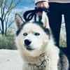 🆘DRINGEND PFLEGESTELLE für AURORA ab 31.10‼🆘
