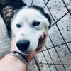 🆘DRINGEND PFLEGESTELLE für AURORA ab 31.10‼🆘
