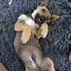 Zoom  klein, besonders und voller Persönlichkeit 🥰