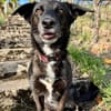 AMY SUCHT EIN NEUES ZUHAUSE!