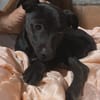 Bruno e Cuore