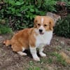 Maggy sucht ihre Familie