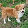 Maggy sucht ihre Familie