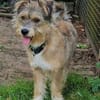 Luna sucht ihre Familie