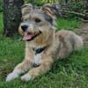 Luna sucht ihre Familie