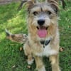 Luna sucht ihre Familie