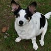 DRINGEND MAVI sucht