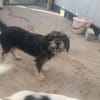 Trudi will ankommen
