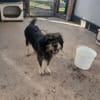 Trudi will ankommen