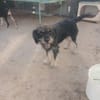 Trudi will ankommen