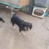 Trudi will ankommen