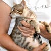 Priscilla sucht eigenes Körbchen