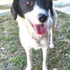 CIRCE ... SUCHT EIN ZUHAUSE