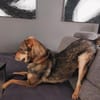 Jampy * und ab ins Herz seiner Menschen