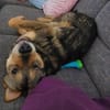 Jampy * und ab ins Herz seiner Menschen