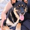 Spiky (Kreta)-Freundliche & fröhliche Hündin sucht ihr Für-I