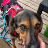 Wundervolle♥Aylini♥wartet 90530 Wendelstein auf ihre Familie