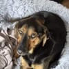 Wundervolle♥Aylini♥wartet 90530 Wendelstein auf ihre Familie