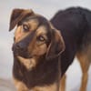 Wundervolle♥Aylini♥wartet 90530 Wendelstein auf ihre Familie