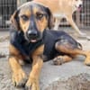 Wundervolle♥Aylini♥wartet 90530 Wendelstein auf ihre Familie