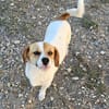 NELLY sucht 4ever home