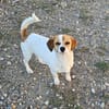 NELLY sucht 4ever home