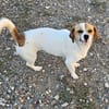 NELLY sucht 4ever home