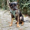 Der hübsche Moritz sucht ein neues Zuhause!