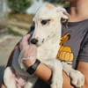 Zarte Caluna sucht ihre Familie