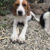 Lissy, sucht genau dich für ihre Erziehung und für immer