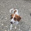 Lissy, sucht genau dich für ihre Erziehung und für immer