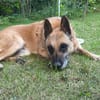 🆘🆘🆘RUBY in 91616 Neusitz sucht♥‼