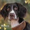 MUNECA